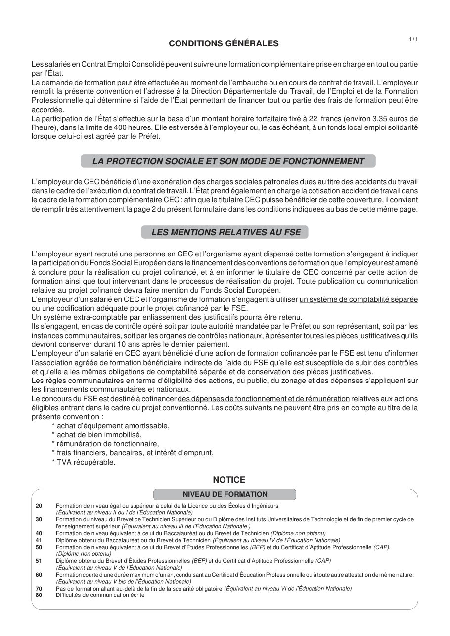 Page 1 du formulaire cerfa 11619 — Emploi-consolidé