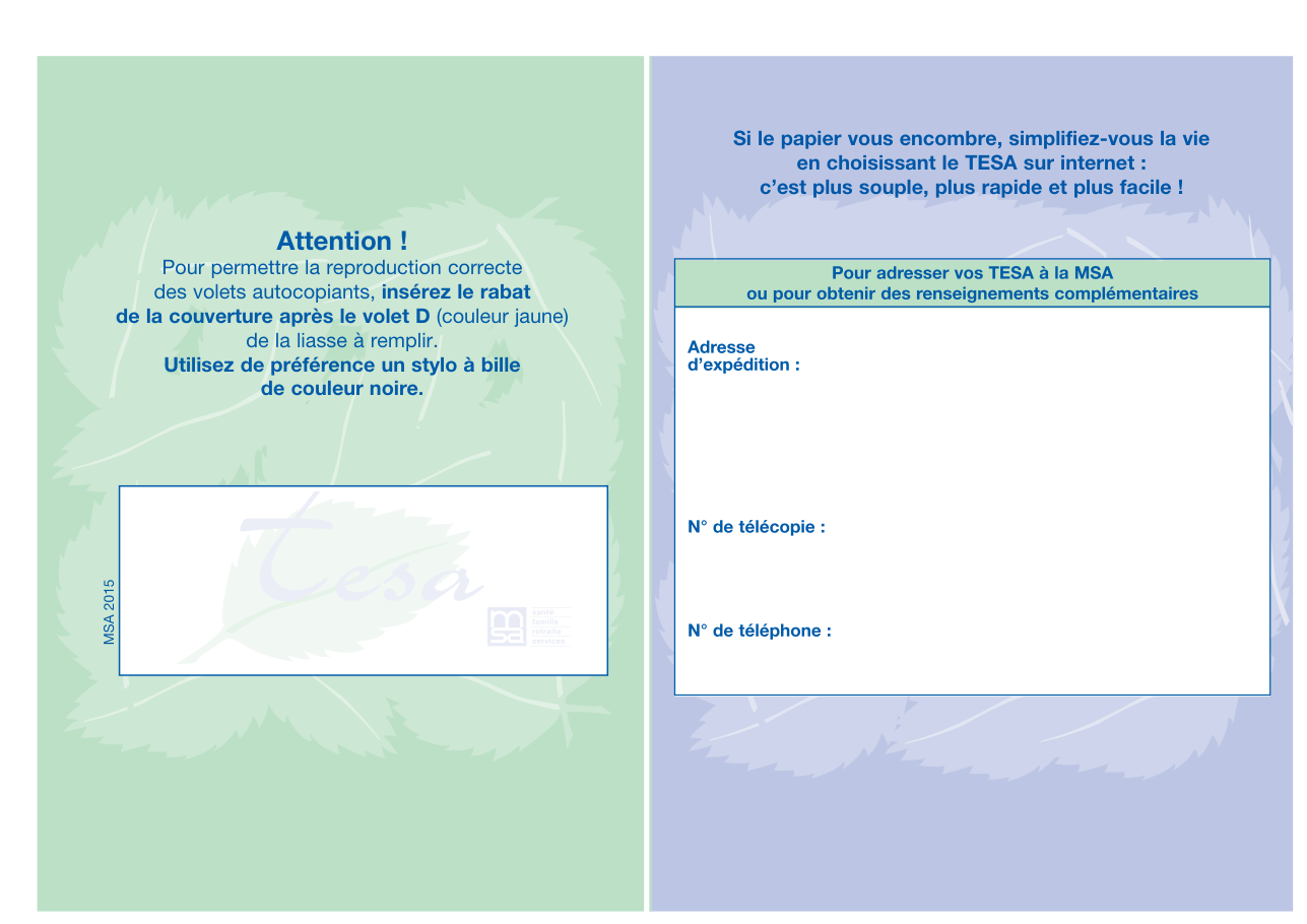 Page 1 du formulaire cerfa 13455 — Comment utiliser le titre emploi simplifié agricole
