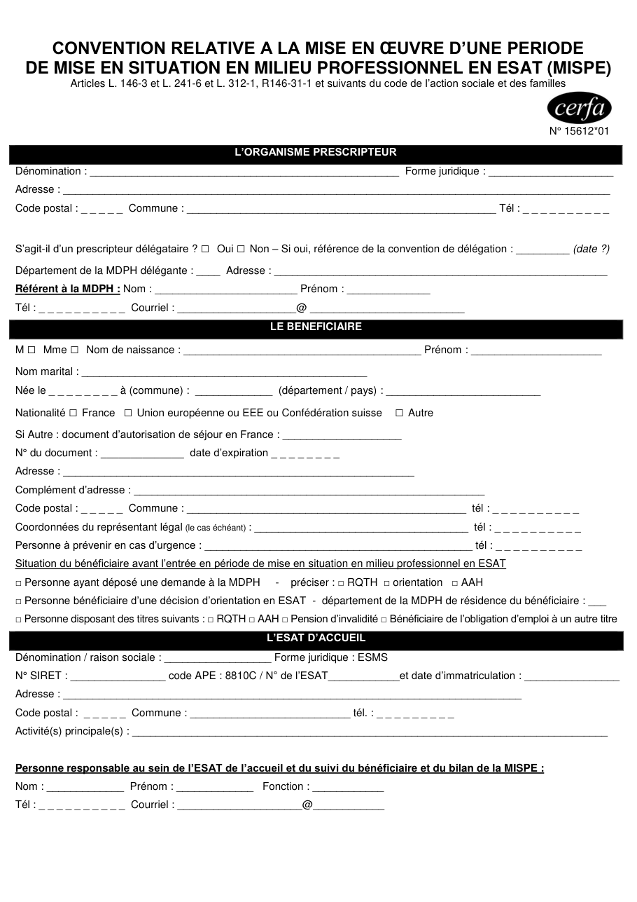 Page 1 du formulaire cerfa 15612 — Convention relative à la mise en œuvre d'une période de mise en situation en milieu professionnel en esat