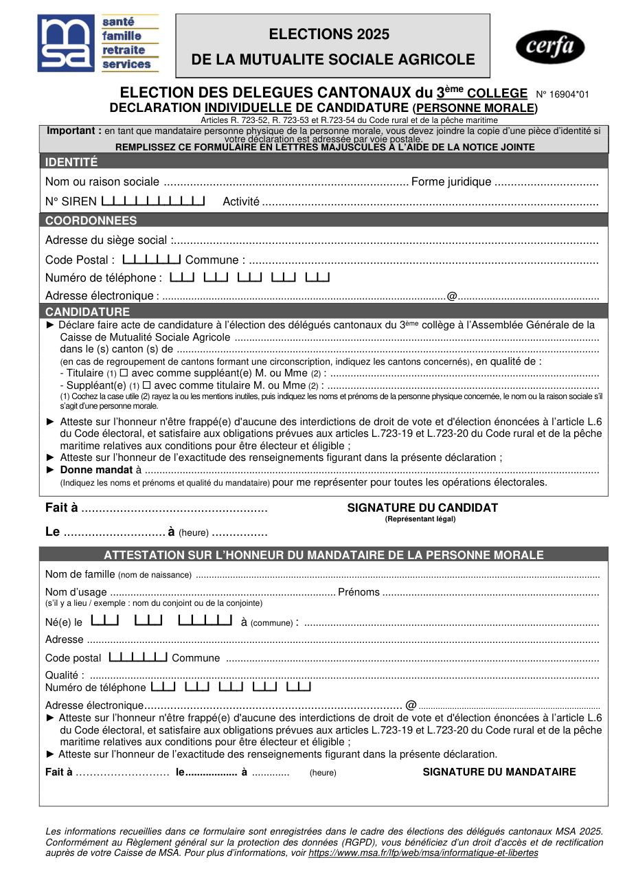 Page 1 du formulaire cerfa 16904 — Élection des délégués cantonaux du 3e collège (MSA) — déclaration individuelle de candidature d'une personne morale