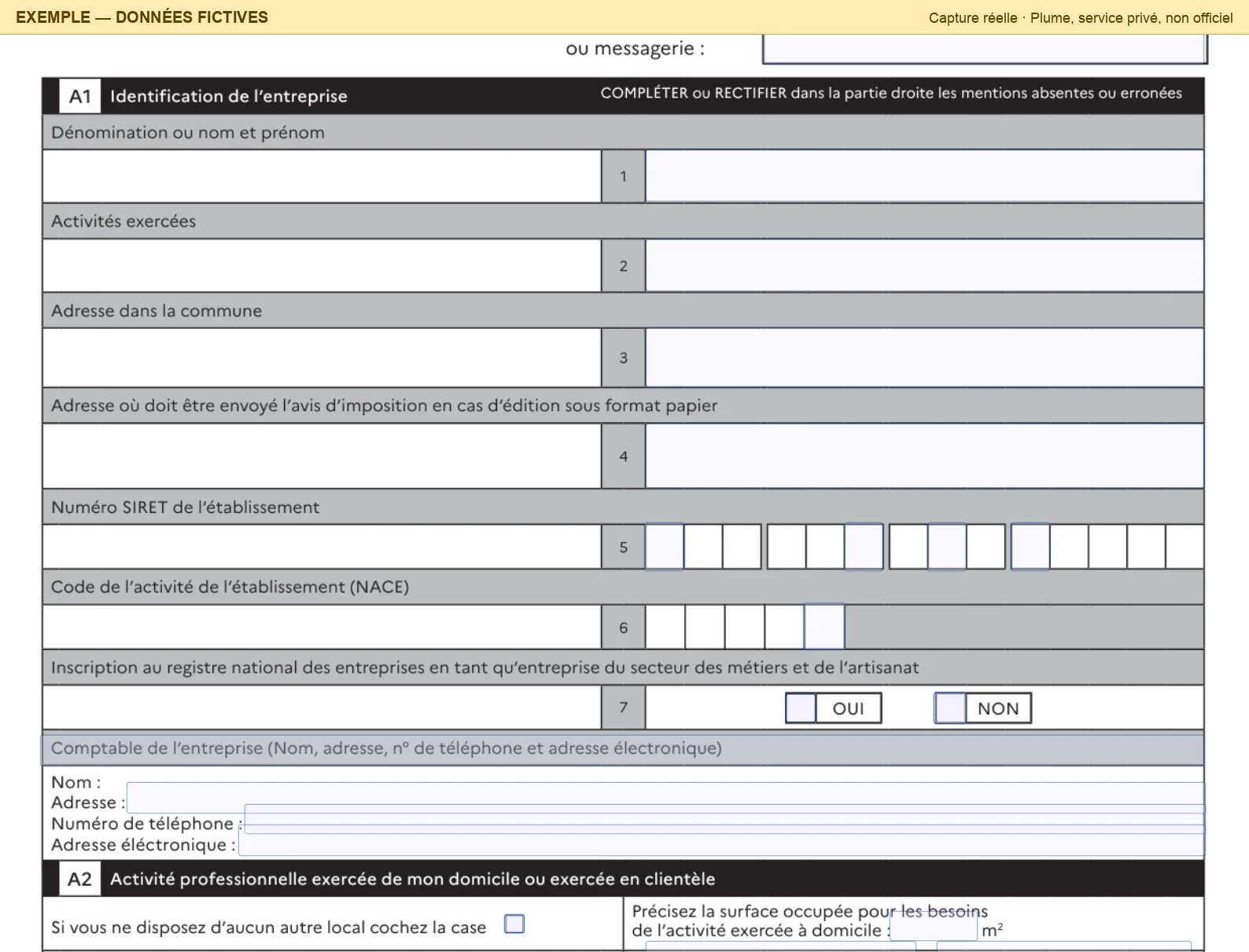 Zoom sur le bloc A1 « Identification de l'entreprise » de la page 1 : dans la colonne de droite, Plume a encadré en bleu les cases de la dénomination, des activités, des deux adresses, la grille du numéro SIRET, celle du code d'activité et les cases « OUI » et « NON » du répertoire des métiers. Elles sont vides. Sous le bloc, le cadre « Comptable de l'entreprise » et ses quatre lignes.