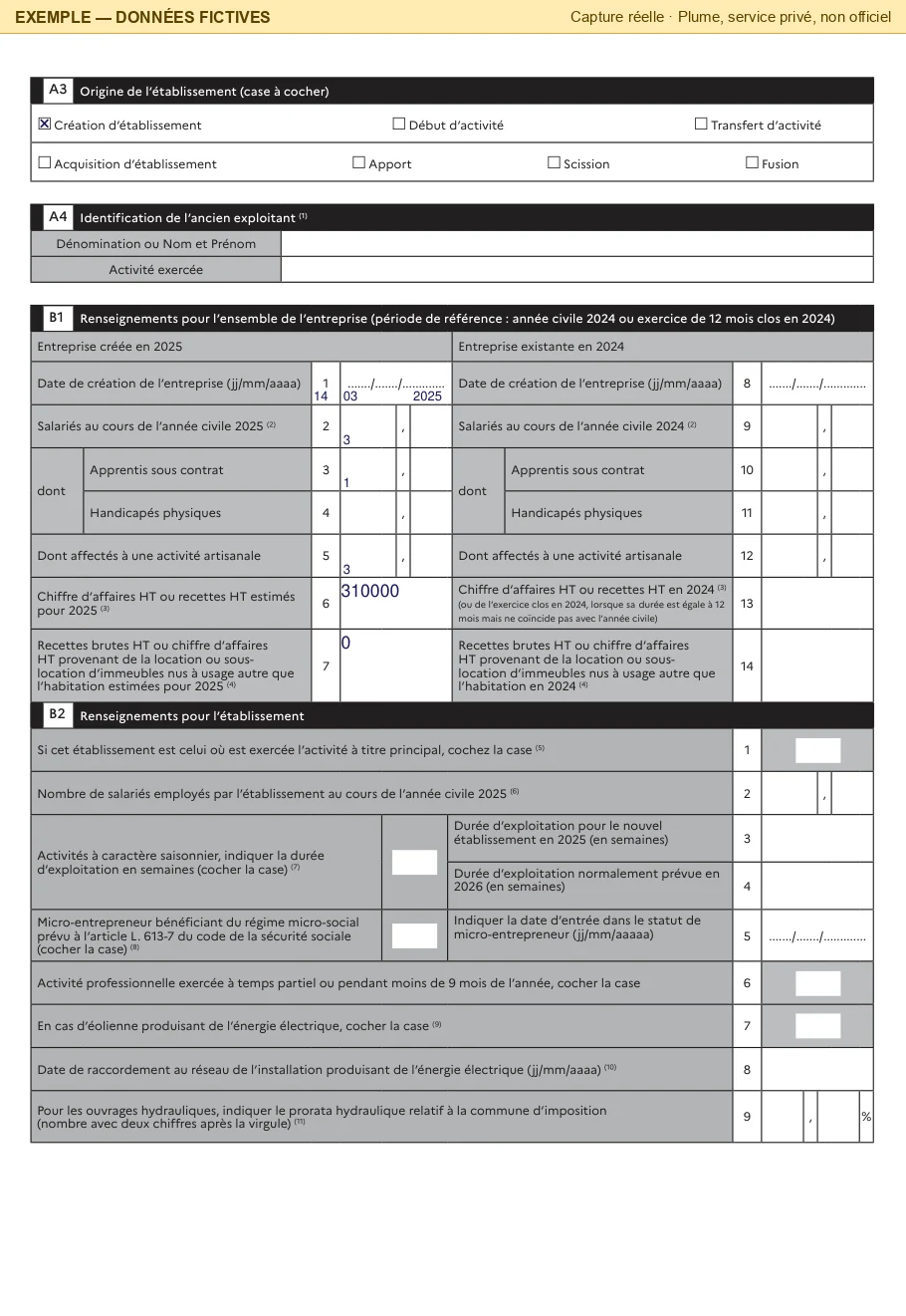 Page 2 du PDF : « Création d'établissement » cochée, date de création du 14/03/2025, trois salariés dont un apprenti sous contrat, trois affectés à l'activité artisanale, chiffre d'affaires estimé de 310000 € ; la ligne des recettes de location d'immeubles porte « 0 ».